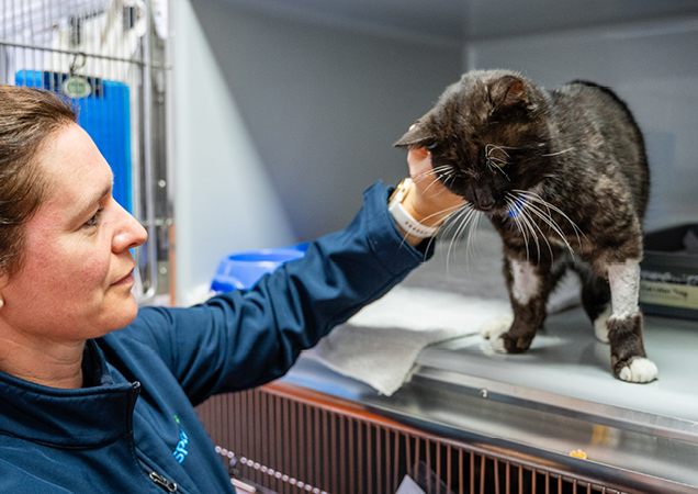 Benson with Dr Sam Strong in hospital.